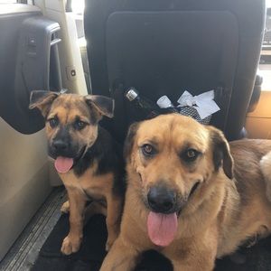 Meet your Posher, Russell